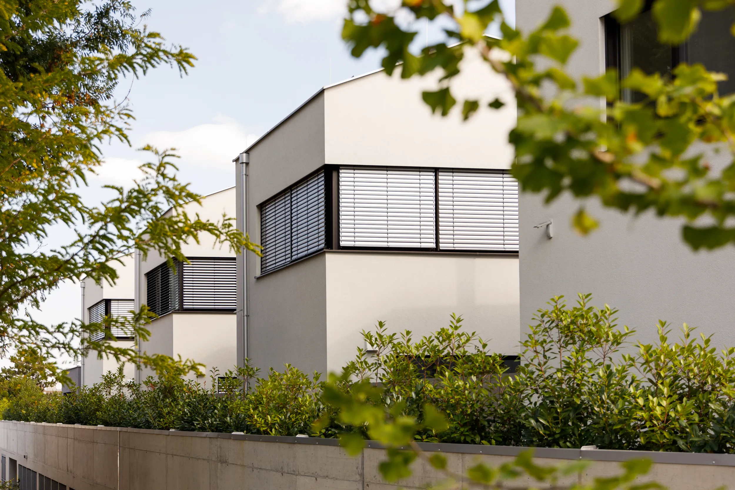 placeholder image-sq